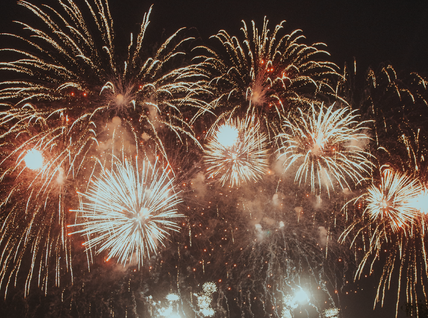 Proyecto CARDALES FESTIVO